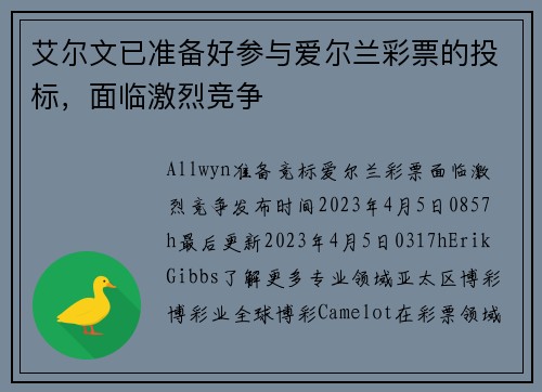 艾尔文已准备好参与爱尔兰彩票的投标，面临激烈竞争 